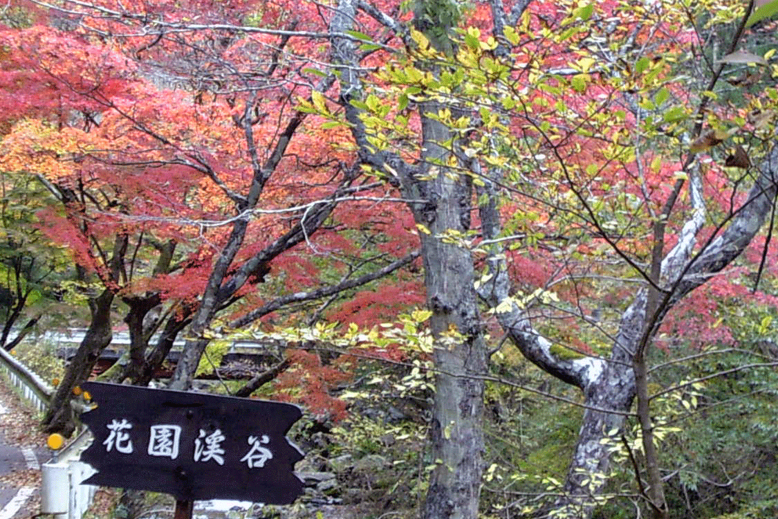 花園渓谷の紅葉 茨城おでかけ情報